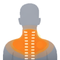 Neck & Back